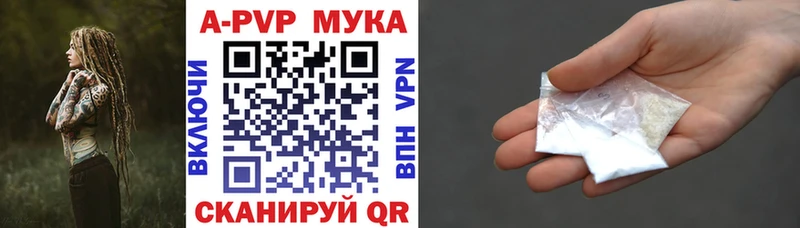 А ПВП крисы CK Дагестанские Огни