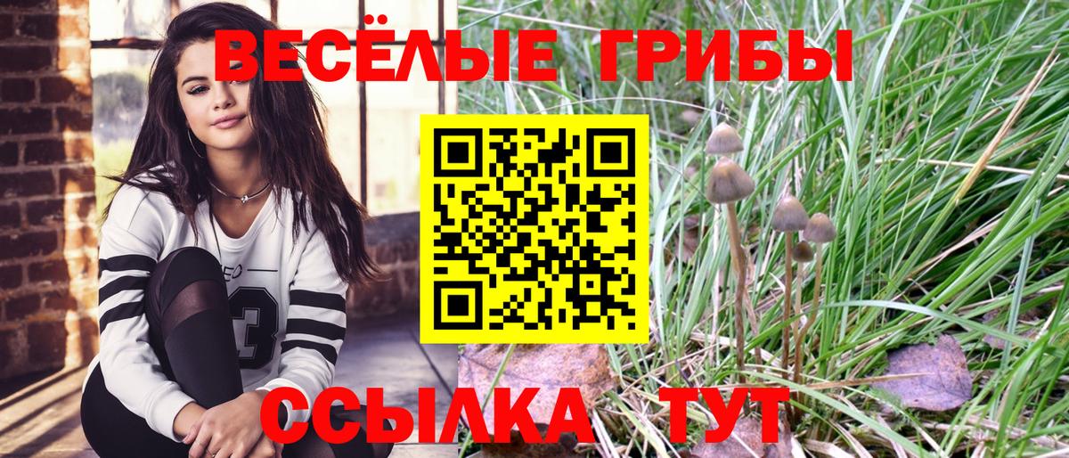 Дагестанские Огни  Галлюциногенные грибы Magic Shrooms  Вход с VPN 